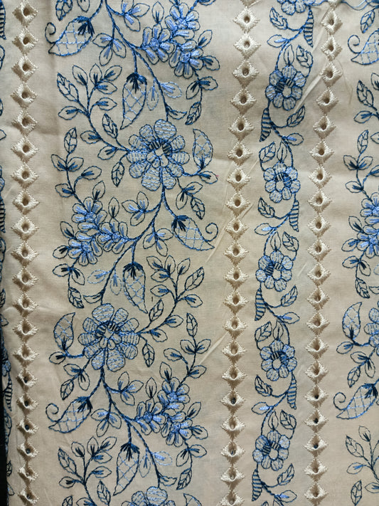 Rahwaleen Embroidery Lawn Suit with Chicken Kari (2-Piece) |đž Skin Bliss | (R25-090)