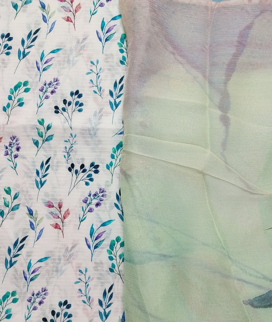Rahwaleen Printed Lawn Suit (3-Piece) |🌈 Bana Dora Collection | (R25-137)