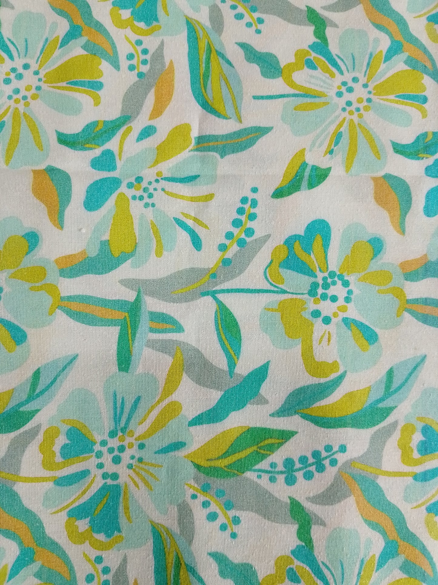 A1 - Rahwaleen Printed Karandi Suit (3-Piece) | 💚🌼 Meadow Glow | (R25-197)